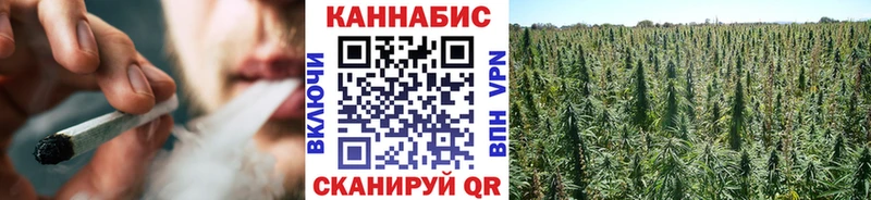 ГЕРОИН Мичуринск