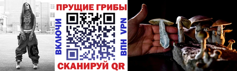 Псилоцибиновые грибы Psilocybe  Мичуринск 